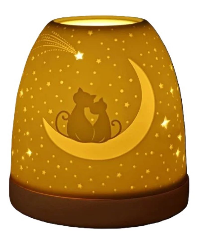 558 - MINI IGLOO NUIT CHAT SUR LA LUNE