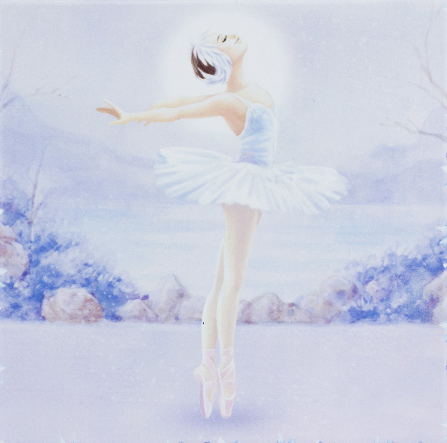 BOITE MUSIQUE CUBE LAC CYGNES - 9526